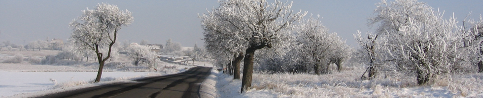 Hlavní obrázek